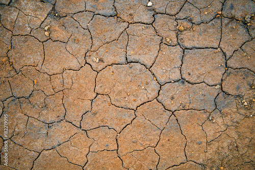 Dry earth background. Top view.