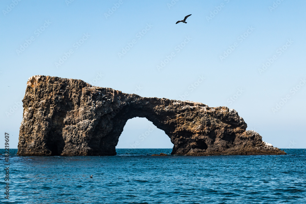 Fototapeta premium Arch rock, natural bridge at Anacapa Island in Channel Islands National Park off the coast of Ventura, California.