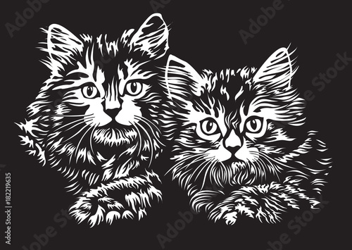 Two kittens