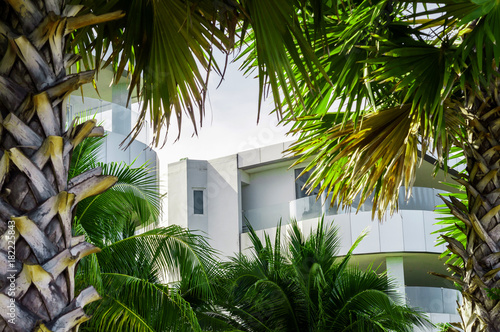 building view between green palm tree © Vladimir Borozenets