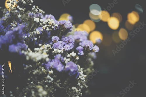 Dried flowers with lights bokeh background