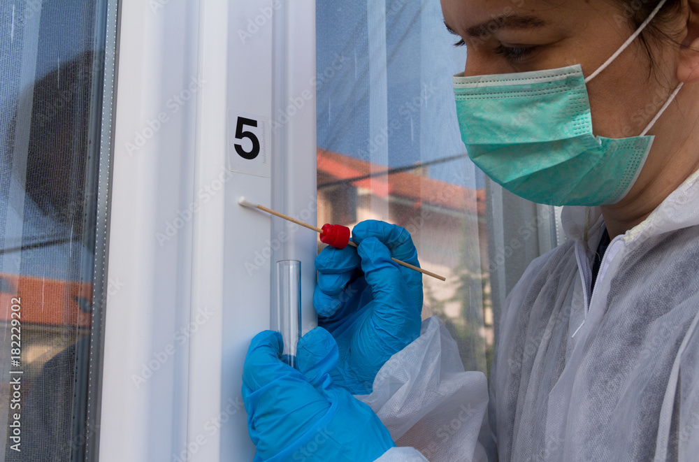 Forensic expert takes a sample of the DNA analysis on sterile swab from ...