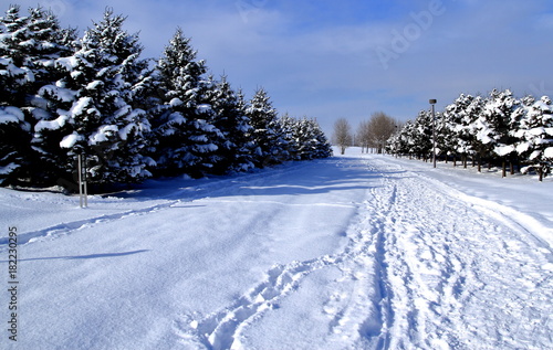 Sapporo winter sunny day landscape