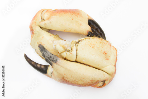 pince de crabe