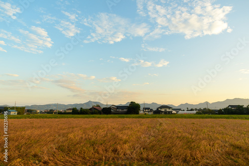 秋の田園風景