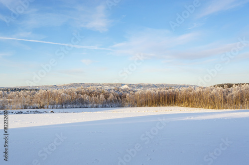 Rural view with snow and frost in the landscape