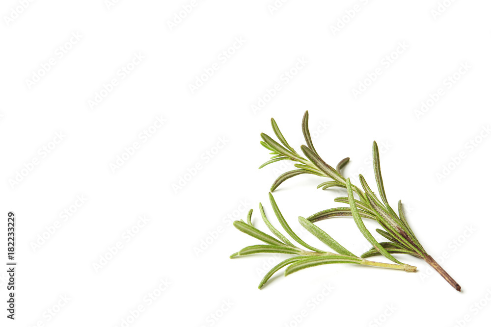 Naklejka premium Rosemary isolated on white background, Top view