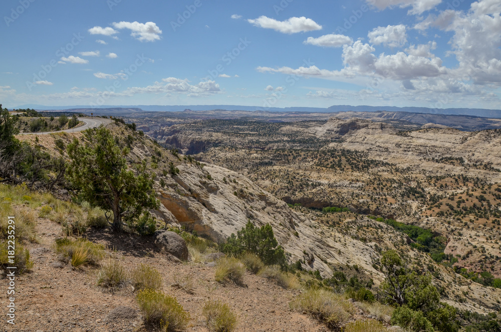 Obraz premium Calf Creek Canyon and a winding stretch of Utah Scenic Byway Route 12 known as 