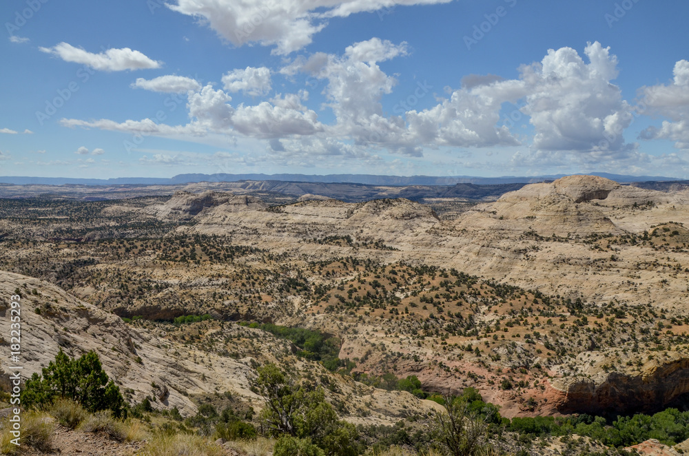 Calf Creek Canyon view from a stretch of Utah Scenic Byway Route 12 known as 