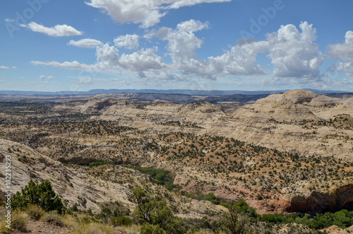Calf Creek Canyon view from a stretch of Utah Scenic Byway Route 12 known as "The Hogback" Grand Staircase - Escalante National Monument