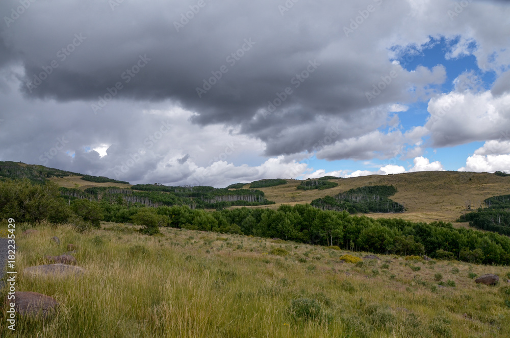 subalpine meadows and timbered slopes of Boulder Mountain on Aqurius Plateau
Garfield County, Utah, USA