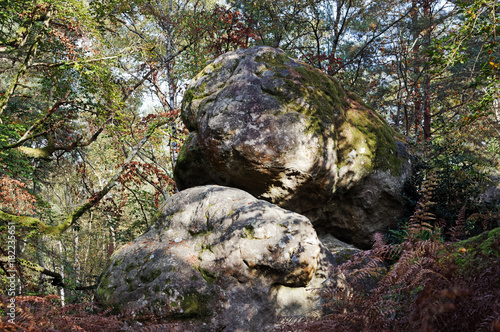 Climbing site of rocher canon in Fontainebleau forest