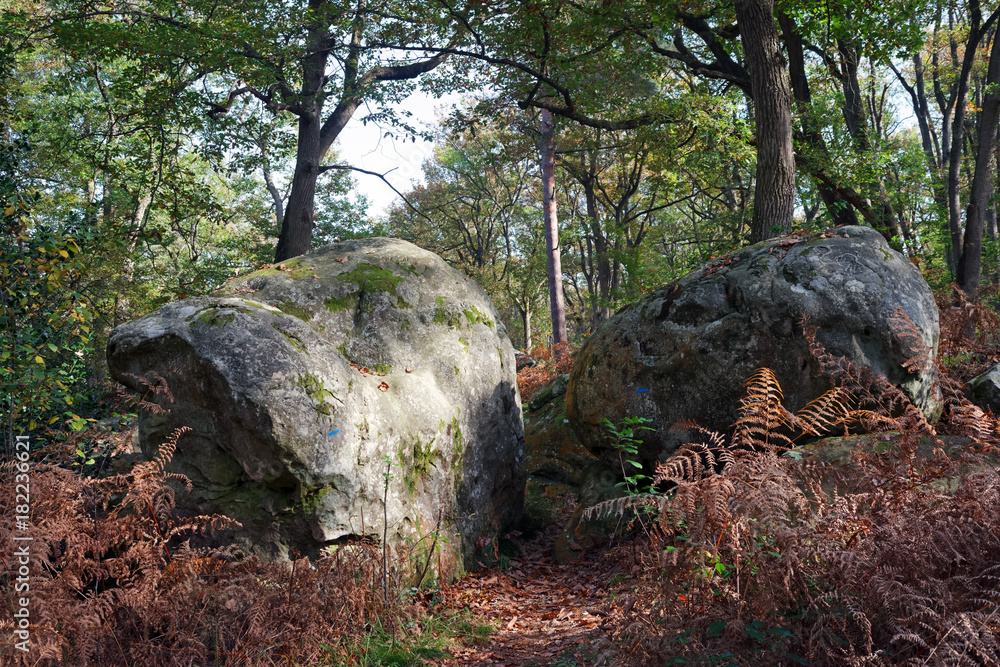 Climbing site  of  rocher canon in Fontainebleau forest