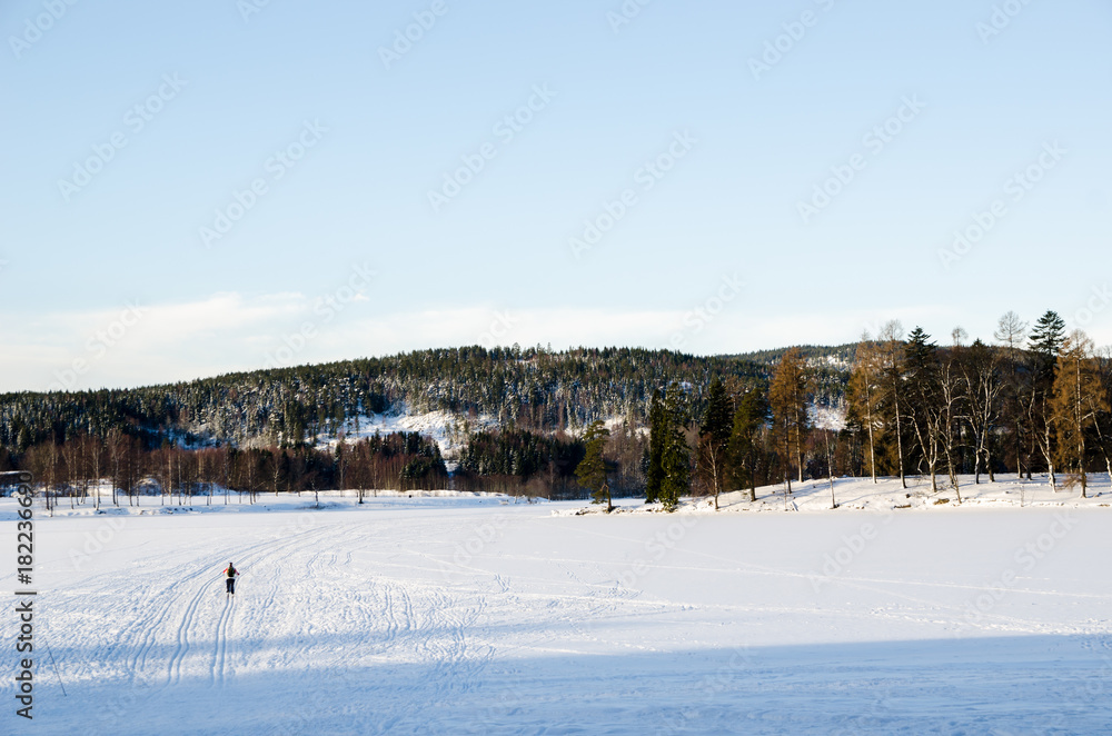 A person practicing ski on the frozen lake of Bogstadvannet in Oslo Norway