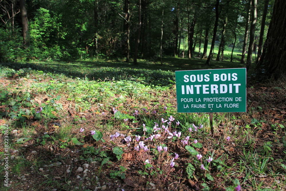 Sous-bois interdit Sous-bois interdit