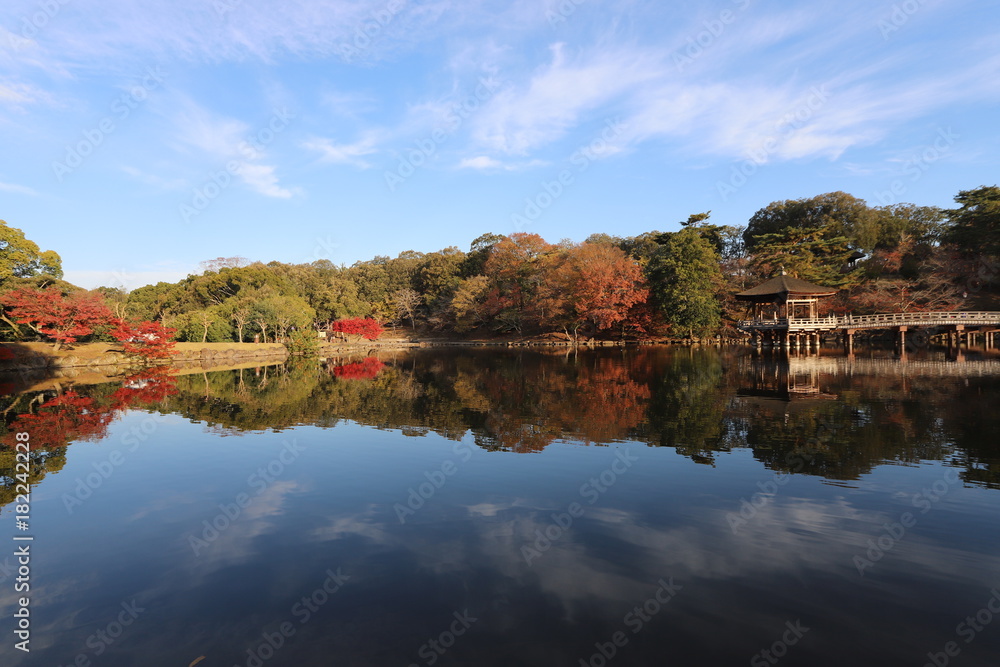 Fototapeta premium 浮見堂の秋景色