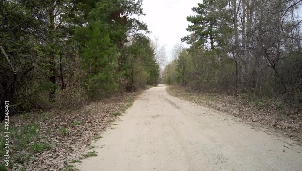 Dirt road in the forest, leaving in the distance, on a spring day Dirt road in the forest, leaving in the distance, on a spring day