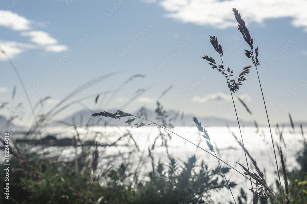 Obraz premium Looking over to the Isle of Rum