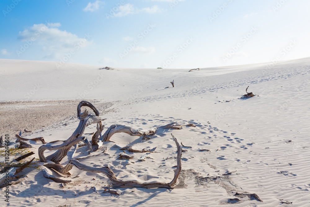 Fototapeta premium White sand dunes panorama from Lencois Maranhenses National Park, Brazil.