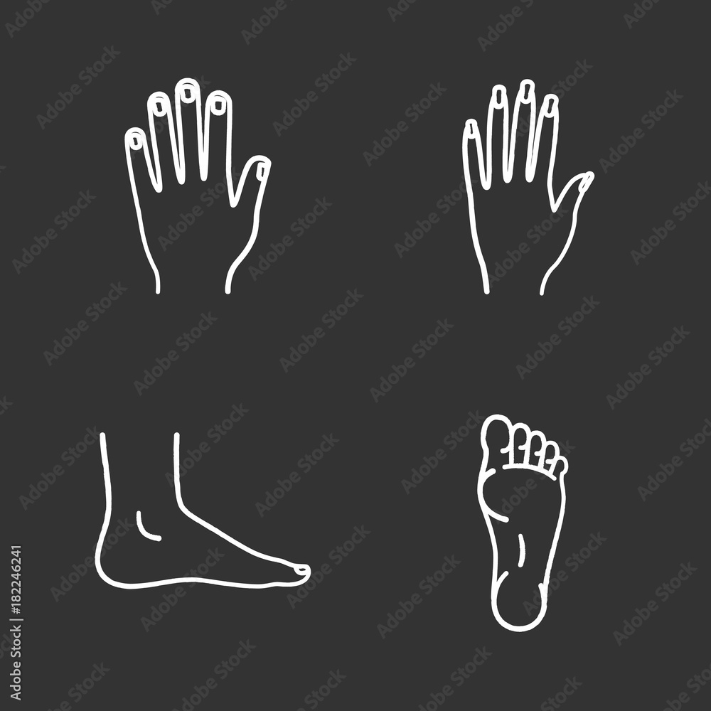 Human body parts chalk icons set Human body parts chalk icons set
