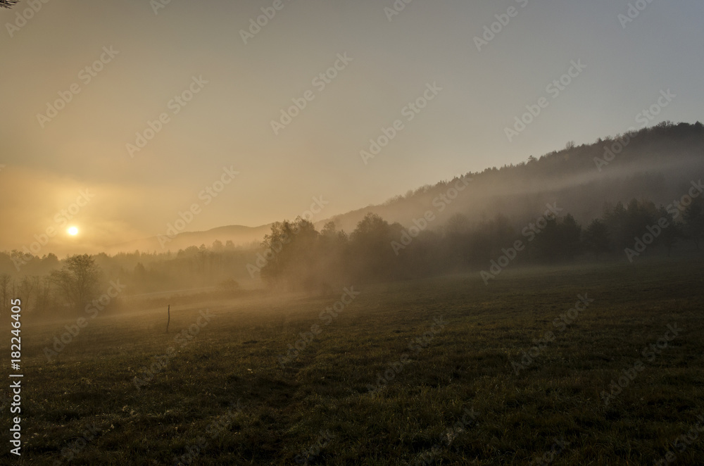 Naklejka premium świt nad polami 