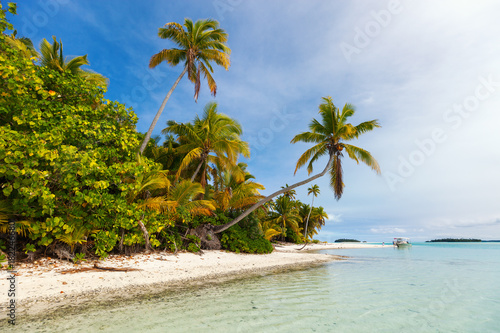 Fototapeta Naklejka Na Ścianę i Meble -  Stunning tropical beach at exotic island in Pacific