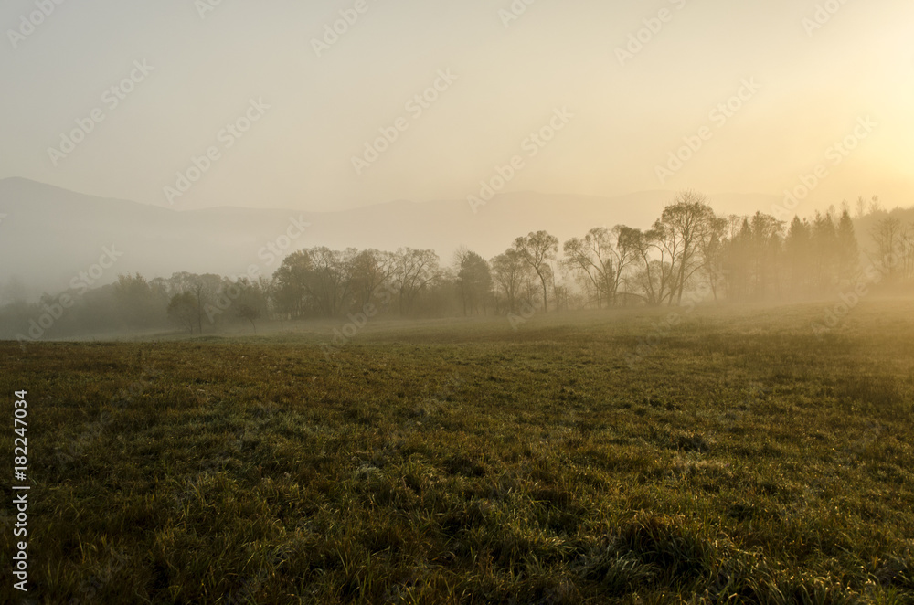 pola,  mgła 