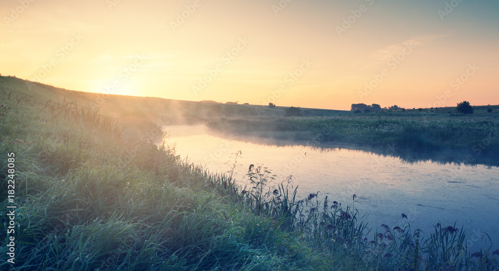 Foggy summer landscape with river