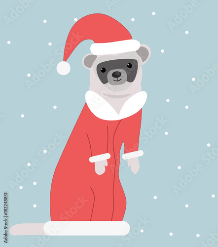 A ferret in a New Year's suit