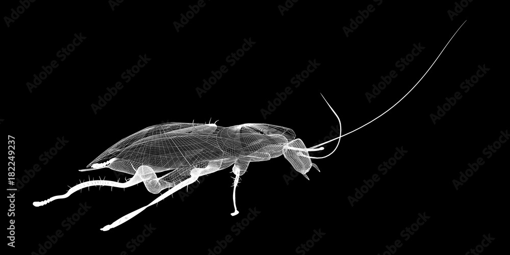 Naklejka premium cockroach in wire carcass