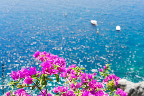 Bright flowers and sea, Beautiful details of Amalfitana at summer, Amalfi coast Italy