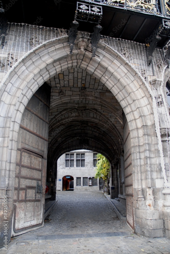 Obraz premium Hôtel de Ville de Mons (Wallonie-Belgique)