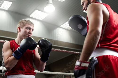 Boxing. Two guys boxer train in the gym