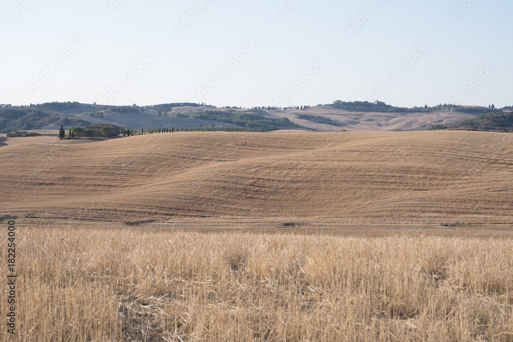 Plowed field ready to be cultivated in Val d'Orcia, Tuscany