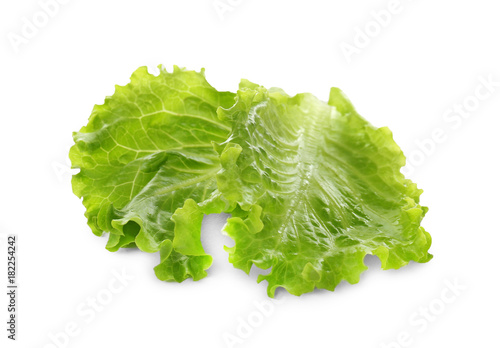 Lettuce leaves on white background