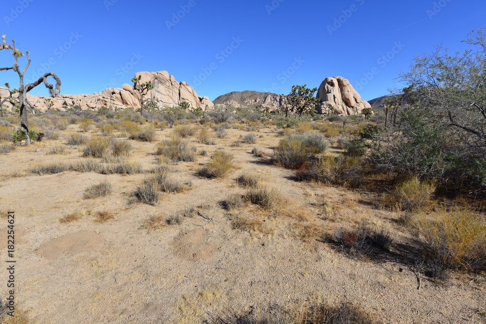 A Rocky Landscape at the Joshua tree national park.