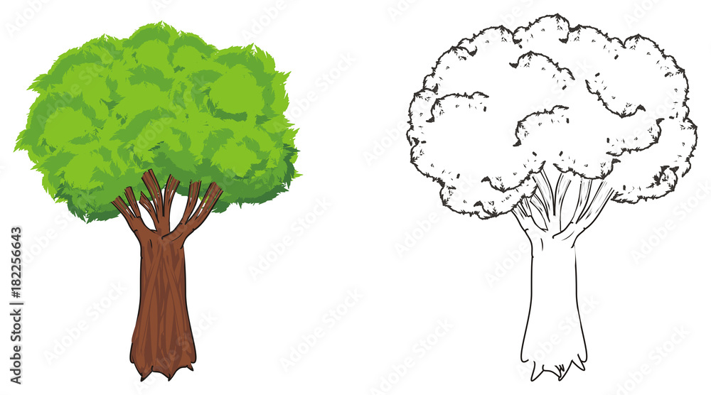 tree, plant, landscape, trunk, bark, branches, crown, leaves, cartoon