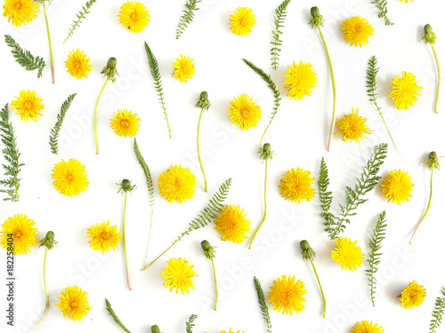 Pattern made from natural yellow wildflowers. Abstract floral composition. Top view, flat lay. Floral, plants background. Mother's Day, March 8 background.