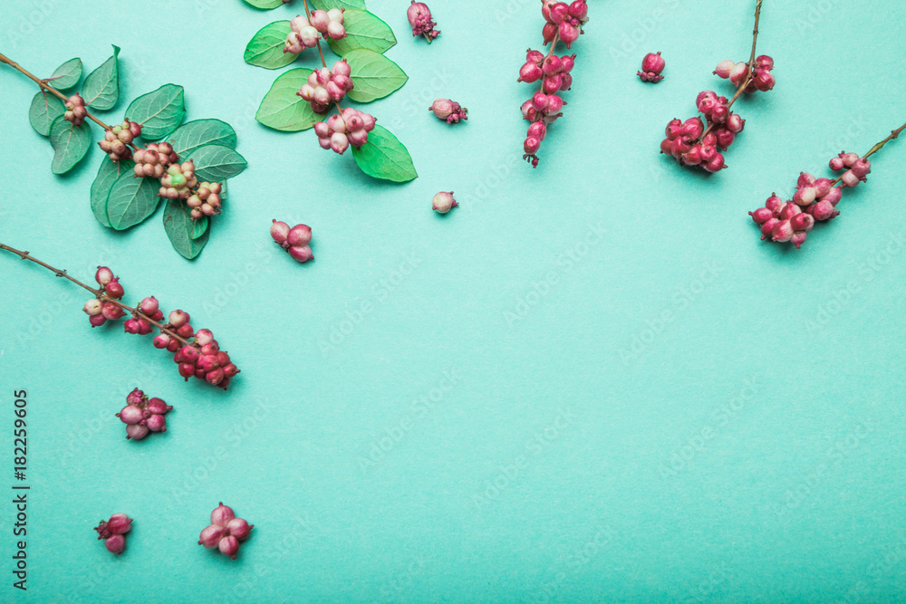 Autumn branches of plants with leaves and berries on a green background. Space for text. Autumn branches of plants with leaves and berries on a green background. Space for text.