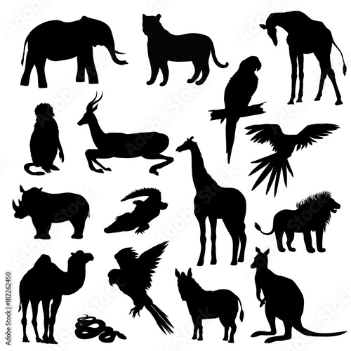 Vector illustration. Set of animals  parrot  giraffe  monkey  gazelle  elephant  rhinoceros  kangaroo  camel  lion  zebra  crocodile  snake  tiger. Black silhouette.