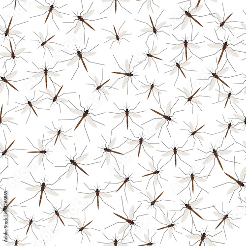 Vector illustration of mosquito. Seamless pattern of gnat isolated on white background, in flat style.