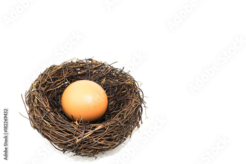 The small artificial bird nest with egg photo