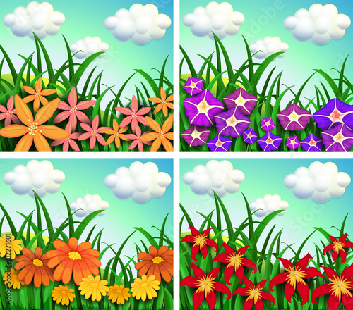 Four scenes of flower fields