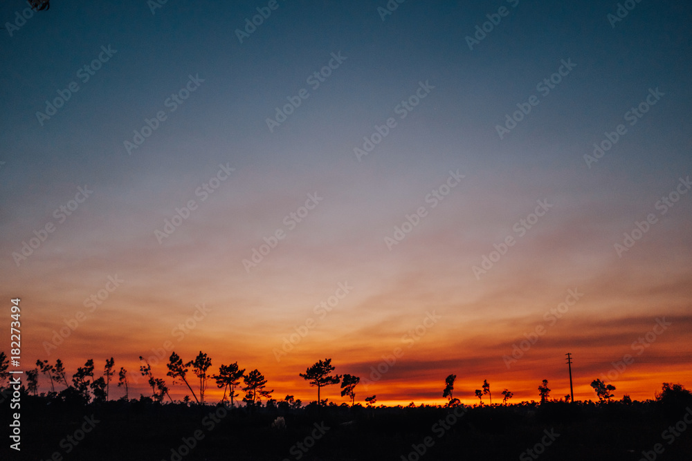 Obraz premium Trip to Atlantic Ocean - Torreira