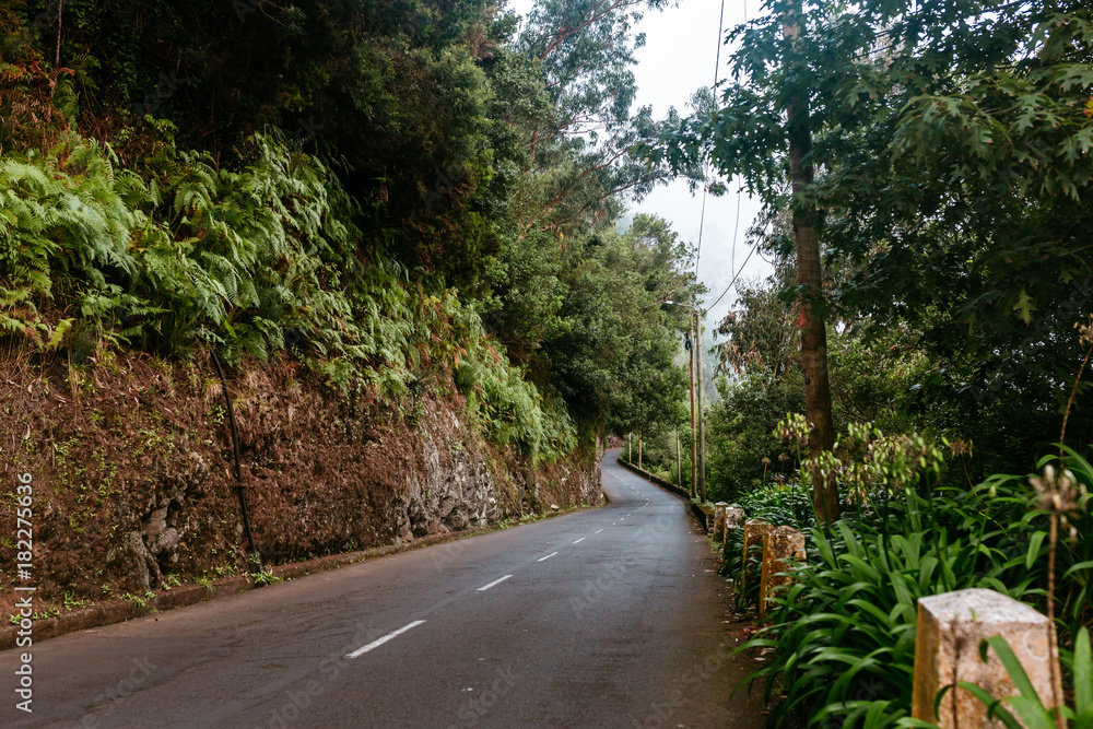 Fototapeta premium Relaxing trip to Madeira