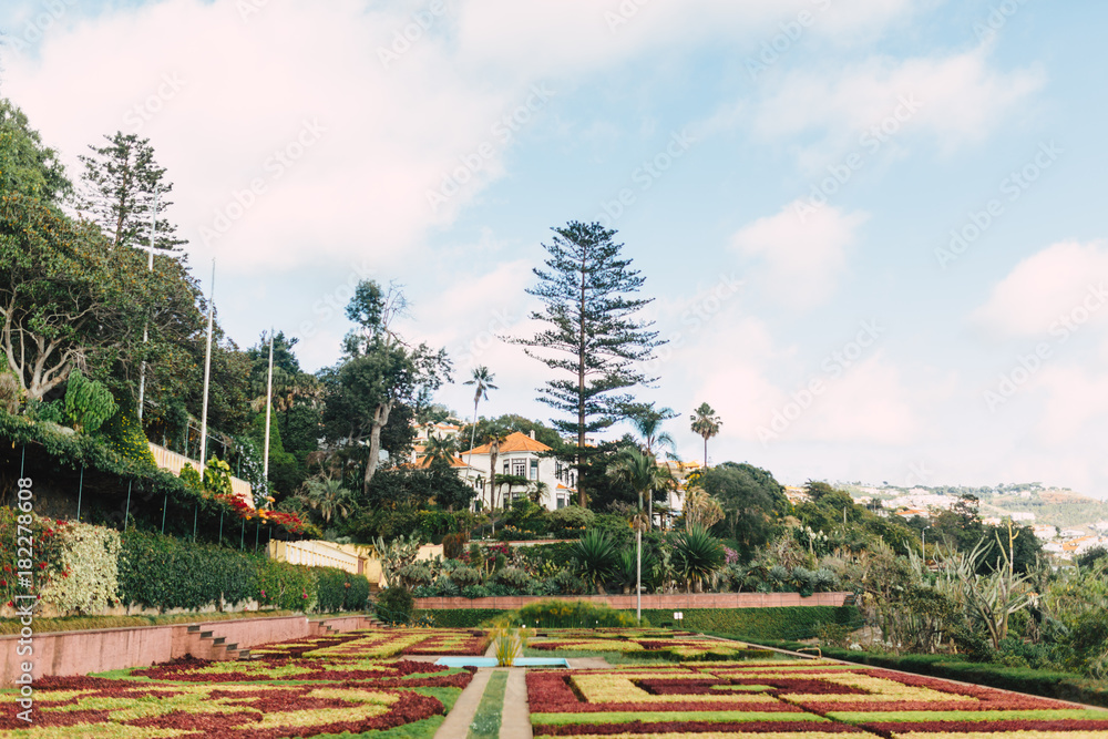 Fototapeta premium Relaxing Holiday on Madeira Island