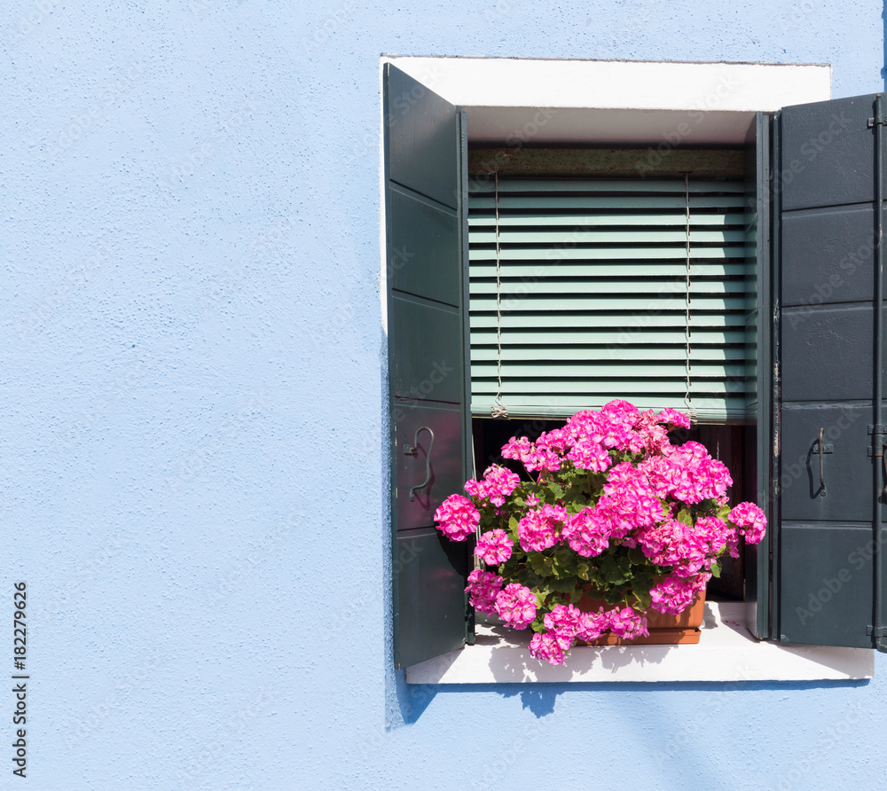 a blue wall of a house with open shutters with pink flowers