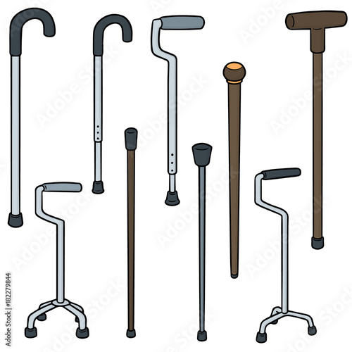 vector set of walking stick