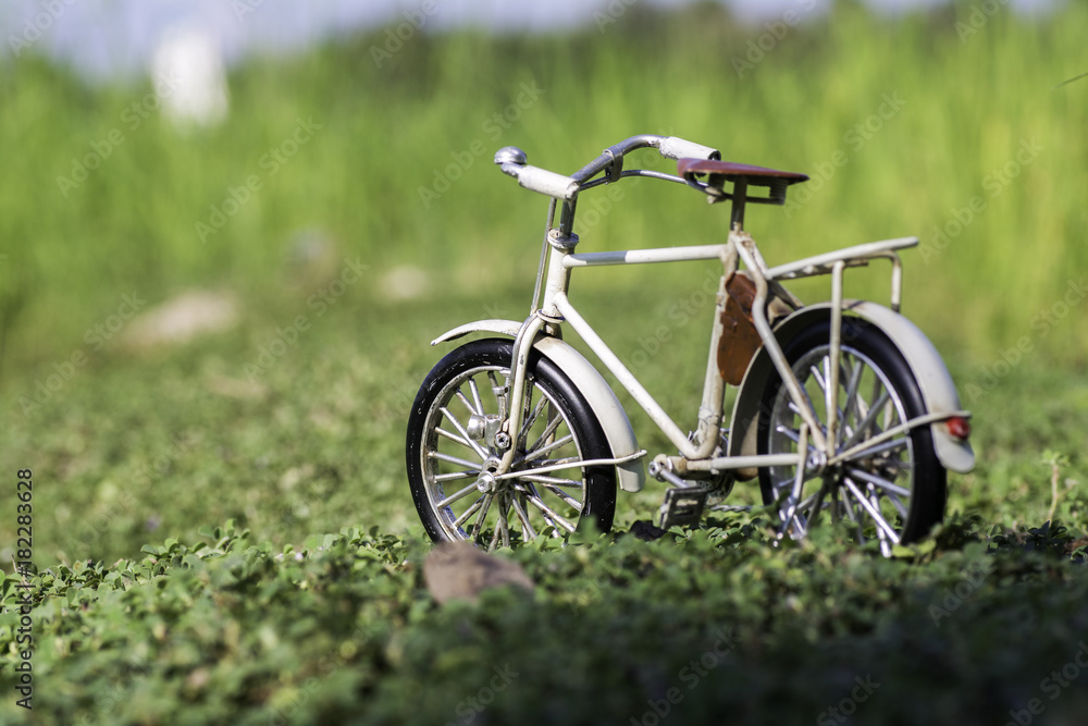 White Bicycle in the field with morning sun White Bicycle in the field with morning sun