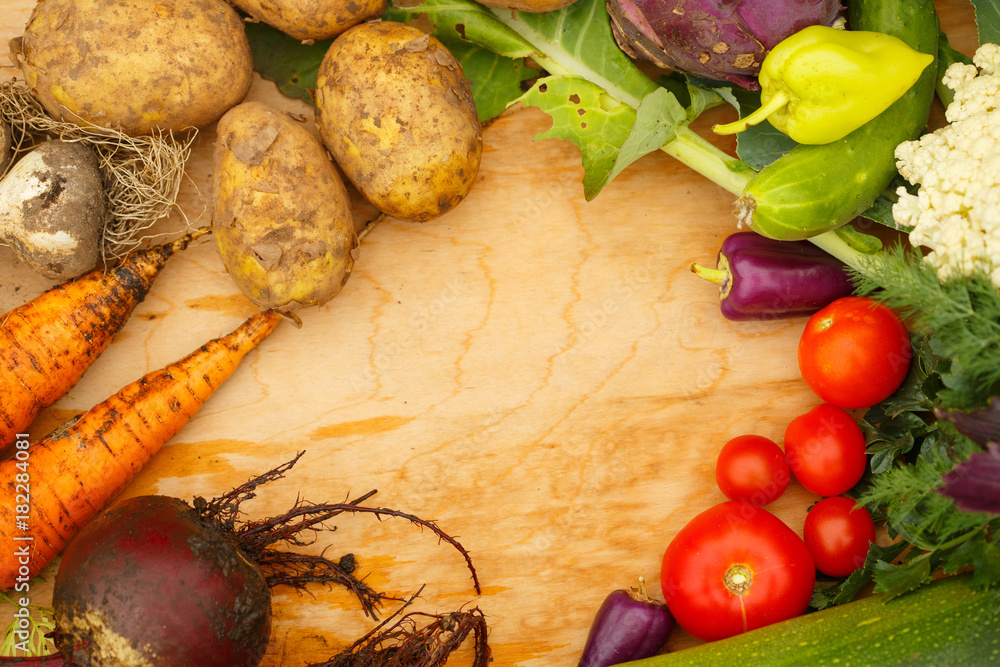 Harvest of fresh vegetables on a wooden background, in garden background. Top view. Garlic, beet, zucchini, kohlrabi, cauliflower, pepper, tomatoes, potatoes, basil, cucumber, dill. Harvest of fresh vegetables on a wooden background, in garden background. Top view. Garlic, beet, zucchini, kohlrabi, cauliflower, pepper, tomatoes, potatoes, basil, cucumber, dill.